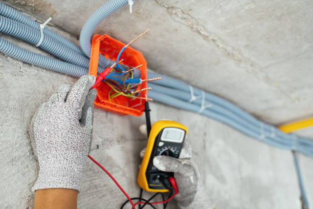 Best Generator Installation Services  in Calhoun City, MS